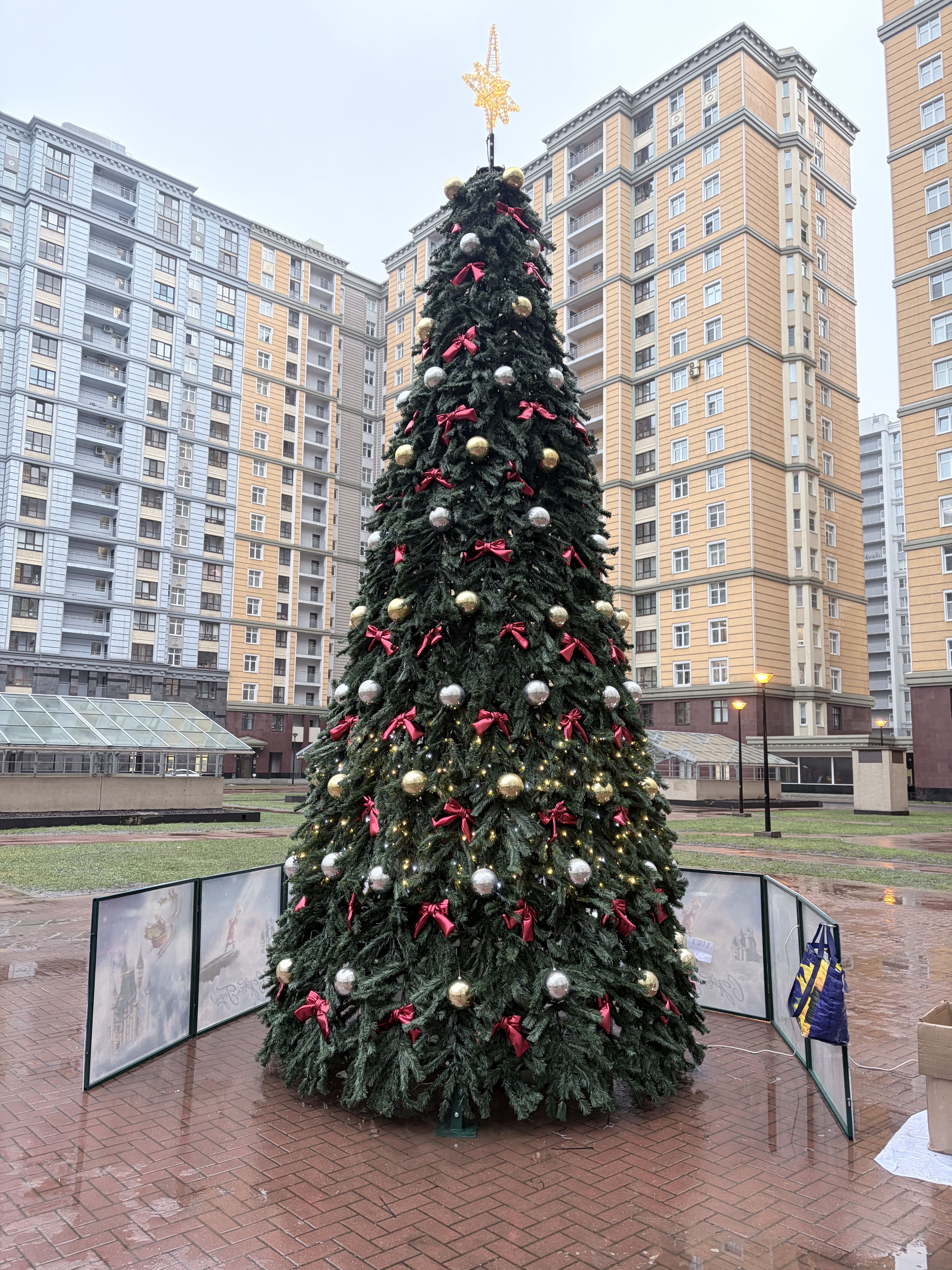 Установка Новогодней ёлки